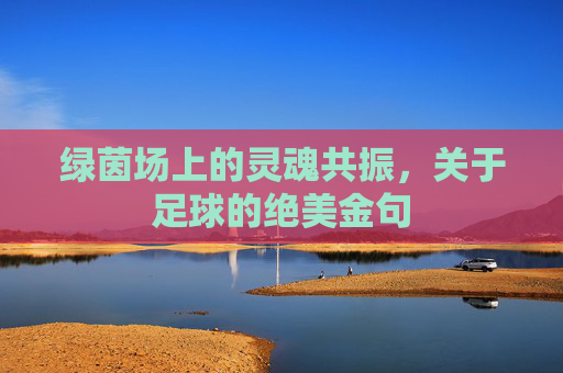 绿茵场上的灵魂共振，关于足球的绝美金句