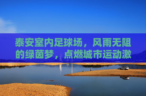 泰安室内足球场，风雨无阻的绿茵梦，点燃城市运动激情