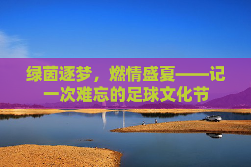 绿茵逐梦，燃情盛夏——记一次难忘的足球文化节