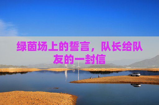 绿茵场上的誓言，队长给队友的一封信