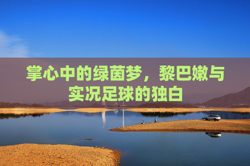 掌心中的绿茵梦,黎巴嫩与实况足球的独白
