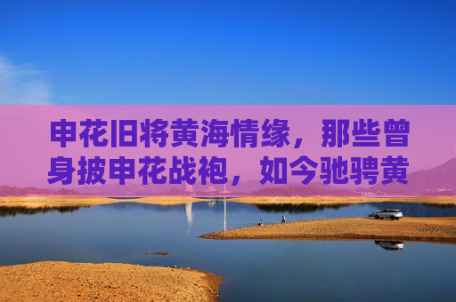 申花旧将黄海情缘,那些曾身披申花战袍,如今驰骋黄海的球员