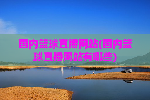 国内篮球直播网站(国内篮球直播网站有哪些)