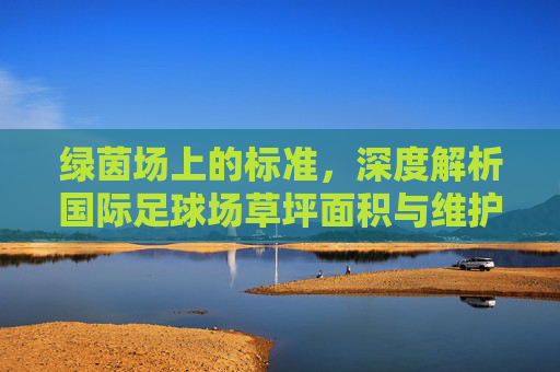 绿茵场上的标准,深度解析国际足球场草坪面积与维护