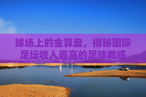 球场上的金算盘,揭秘国际足坛收入最高的足球教练