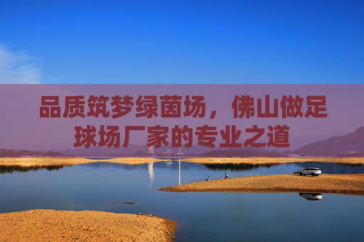品质筑梦绿茵场,佛山做足球场厂家的专业之道