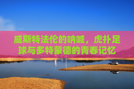威斯特法伦的呐喊,虎扑足球与多特蒙德的青春记忆