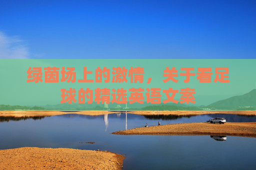 绿茵场上的激情,关于看足球的精选英语文案