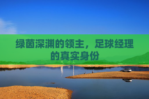 绿茵深渊的领主，足球经理的真实身份