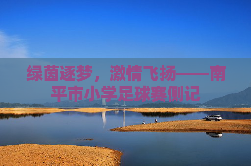 绿茵逐梦,激情飞扬——南平市小学足球赛侧记