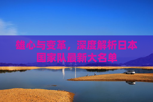 雄心与变革,深度解析日本国家队最新大名单
