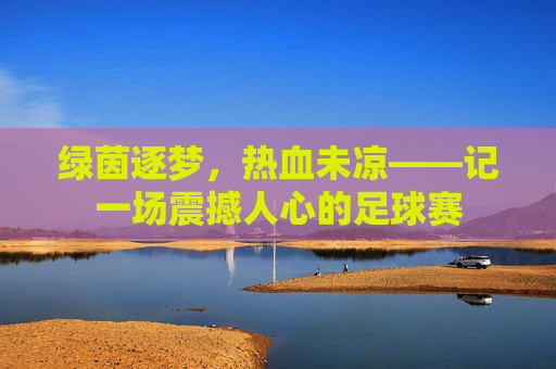 绿茵逐梦,热血未凉——记一场震撼人心的足球赛