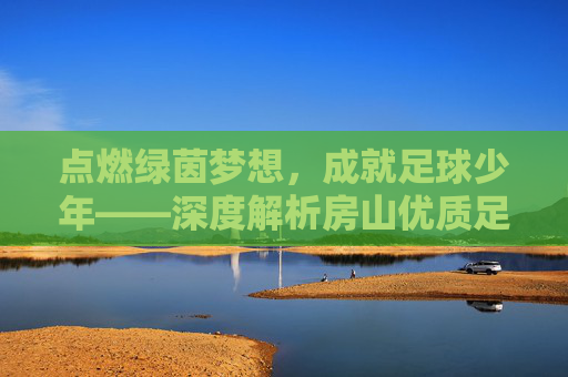 点燃绿茵梦想,成就足球少年——深度解析房山优质足球培训班
