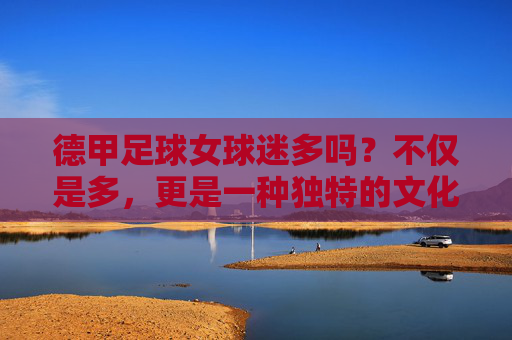 德甲足球女球迷多吗?不仅是多,更是一种独特的文化现象