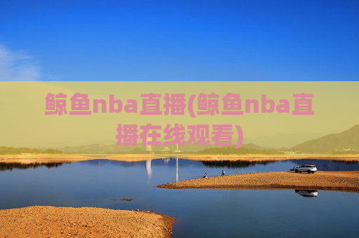 鲸鱼nba直播(鲸鱼nba直播在线观看)