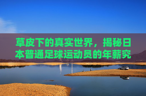 草皮下的真实世界,揭秘日本普通足球运动员的年薪究竟几何?