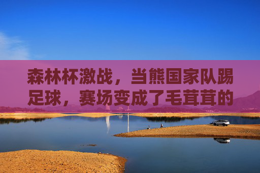 森林杯激战，当熊国家队踢足球，赛场变成了毛茸茸的噩梦