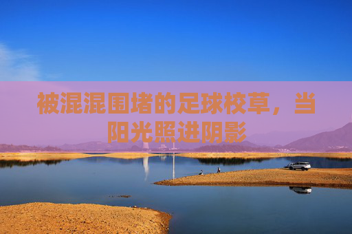 被混混围堵的足球校草，当阳光照进阴影