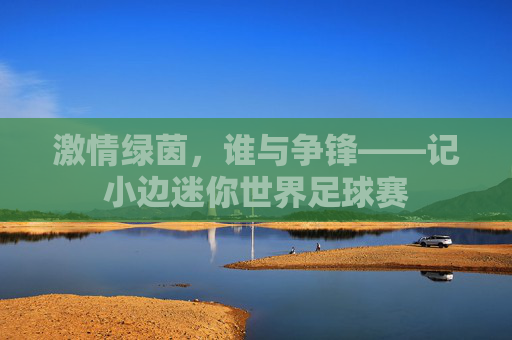 激情绿茵，谁与争锋——记小边迷你世界足球赛