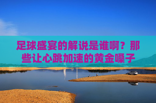 足球盛宴的解说是谁啊?那些让心跳加速的黄金嗓子