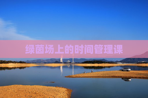 绿茵场上的时间管理课