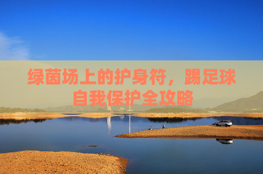 绿茵场上的护身符,踢足球自我保护全攻略