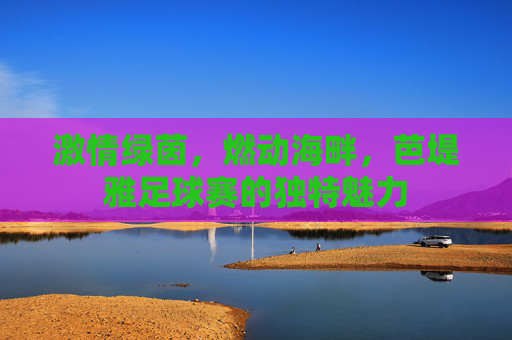 激情绿茵,燃动海畔,芭堤雅足球赛的独特魅力
