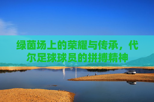绿茵场上的荣耀与传承,代尔足球球员的拼搏精神