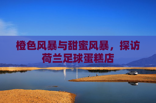 橙色风暴与甜蜜风暴,探访荷兰足球蛋糕店
