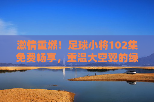 激情重燃!足球小将102集免费畅享,重温大空翼的绿茵传奇