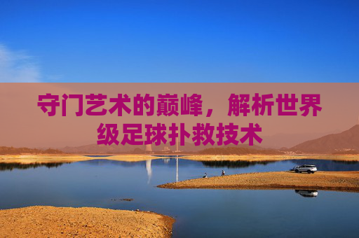 守门艺术的巅峰,解析世界级足球扑救技术