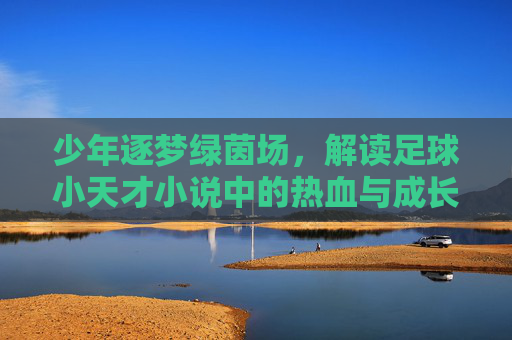 少年逐梦绿茵场,解读足球小天才小说中的热血与成长