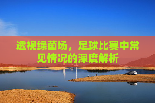 透视绿茵场,足球比赛中常见情况的深度解析