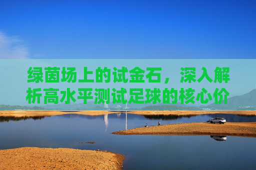 绿茵场上的试金石,深入解析高水平测试足球的核心价值与实战应用