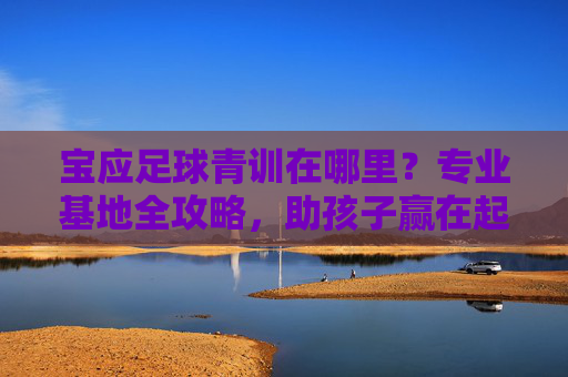宝应足球青训在哪里?专业基地全攻略,助孩子赢在起跑线