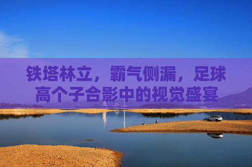 铁塔林立,霸气侧漏,足球高个子合影中的视觉盛宴
