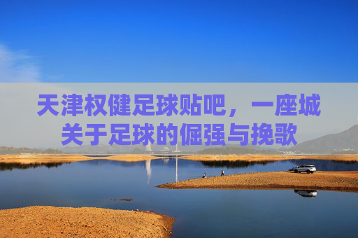 天津权健足球贴吧,一座城关于足球的倔强与挽歌