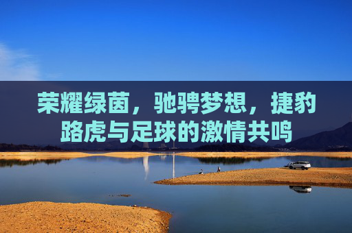 荣耀绿茵,驰骋梦想,捷豹路虎与足球的激情共鸣