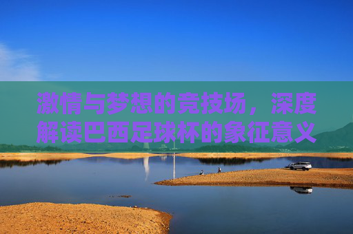 激情与梦想的竞技场,深度解读巴西足球杯的象征意义