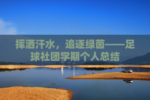 挥洒汗水,追逐绿茵——足球社团学期个人总结