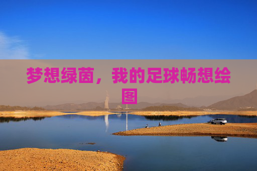梦想绿茵,我的足球畅想绘图