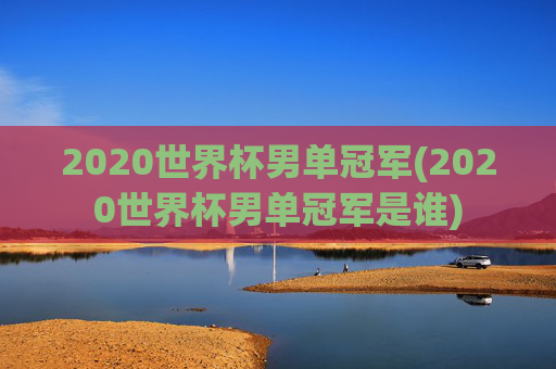 2020世界杯男单冠军(2020世界杯男单冠军是谁)