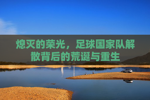 熄灭的荣光,足球国家队解散背后的荒诞与重生