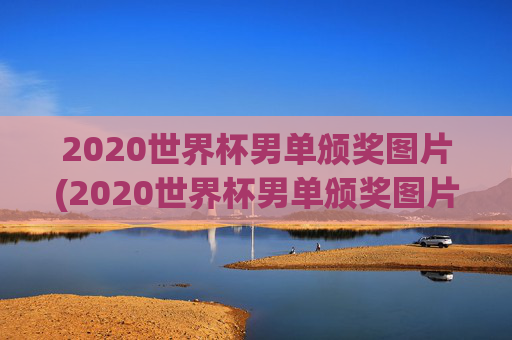 2020世界杯男单颁奖图片(2020世界杯男单颁奖图片大全)