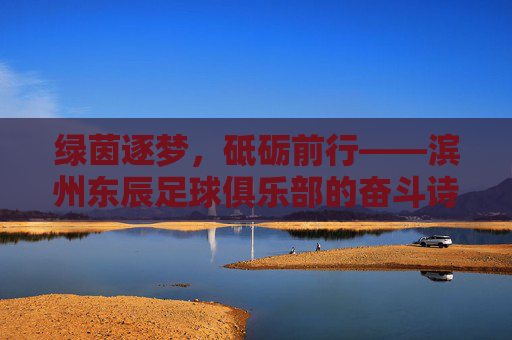 绿茵逐梦,砥砺前行——滨州东辰足球俱乐部的奋斗诗篇