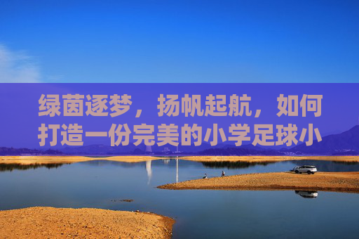 绿茵逐梦，扬帆起航，如何打造一份完美的小学足球小将简历表