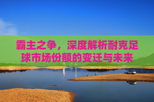 霸主之争,深度解析耐克足球市场份额的变迁与未来