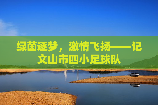 绿茵逐梦,激情飞扬——记文山市四小足球队