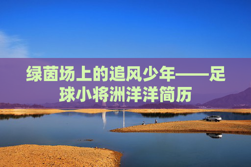 绿茵场上的追风少年——足球小将洲洋洋简历