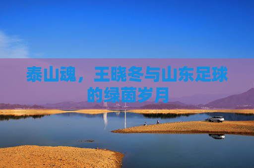泰山魂,王晓冬与山东足球的绿茵岁月